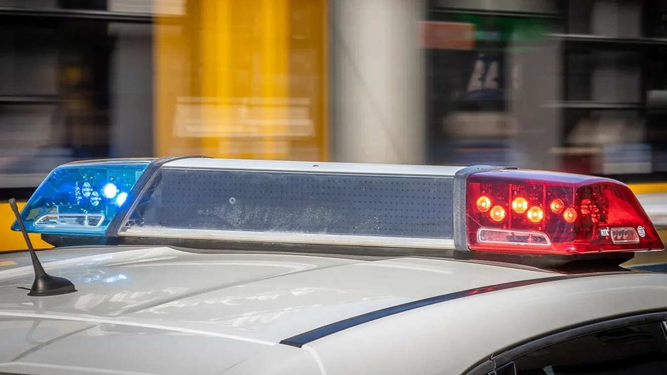 Öt embert sebesített meg egy medve