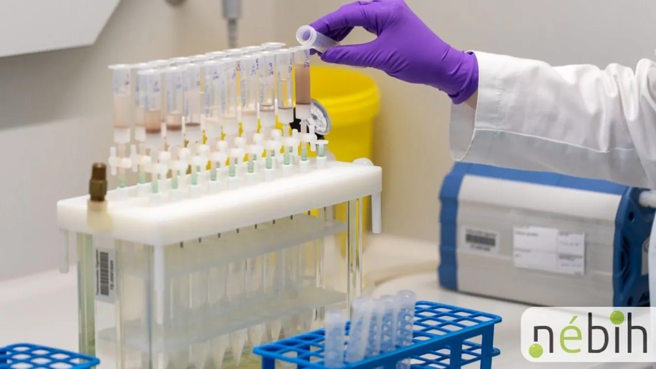 Lesújtó eredmény: 21-ből 20 fehérjepor megbukott a teszteken