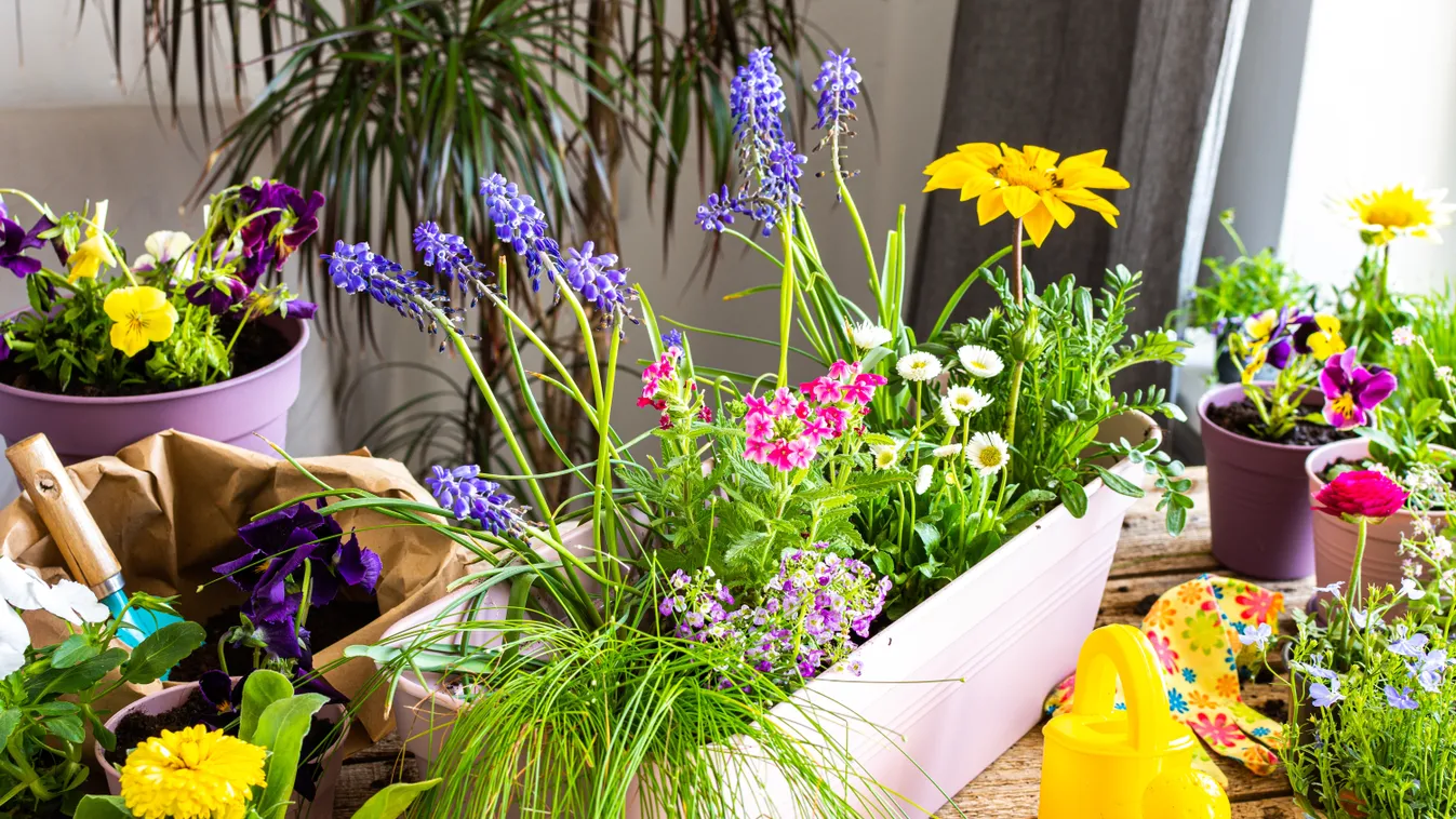 5 szuper tipp, hogy fantasztikus legyen tavaszra a terasz