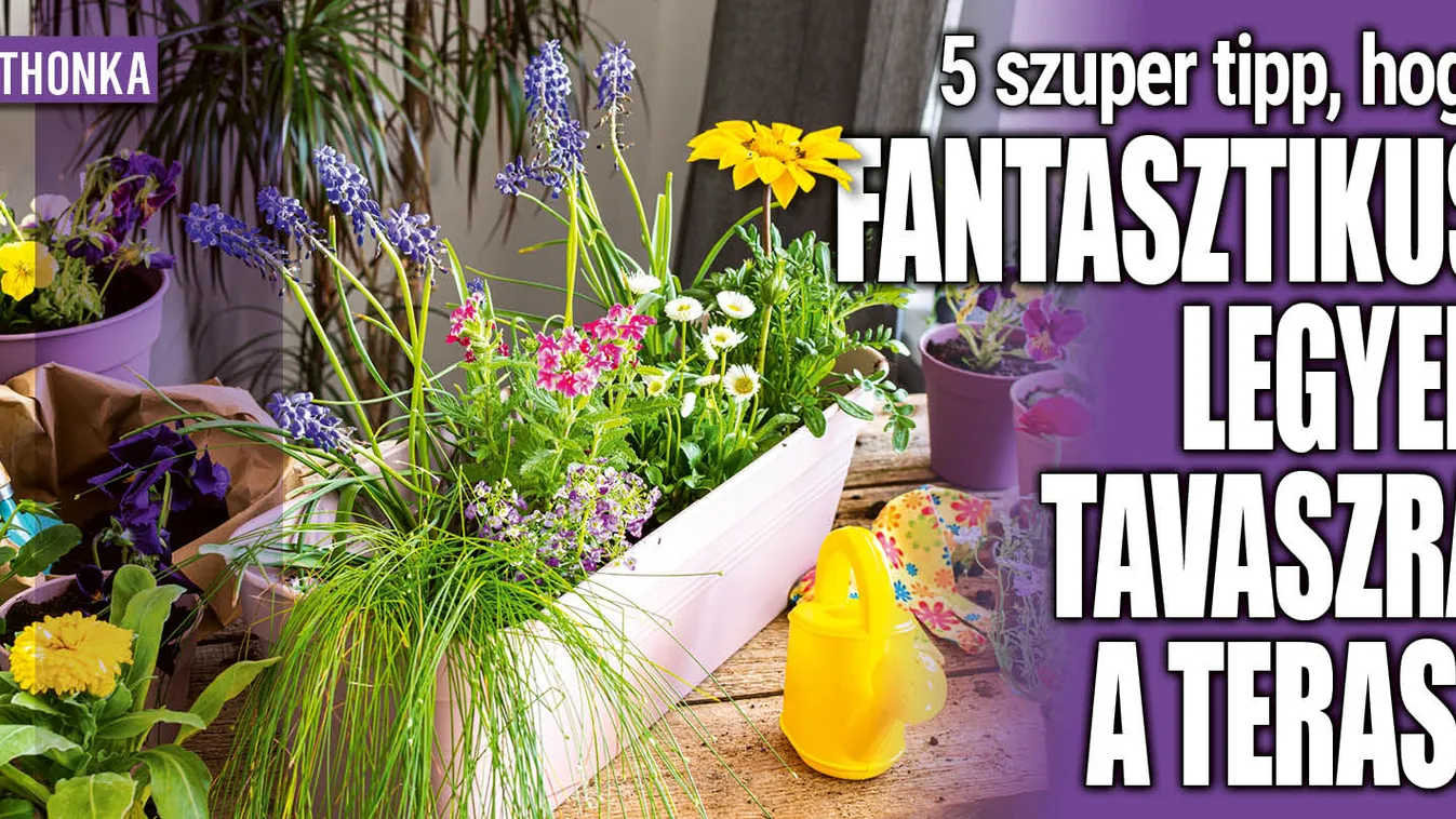 5 szuper tipp, hogy fantasztikus legyen tavaszra a terasz