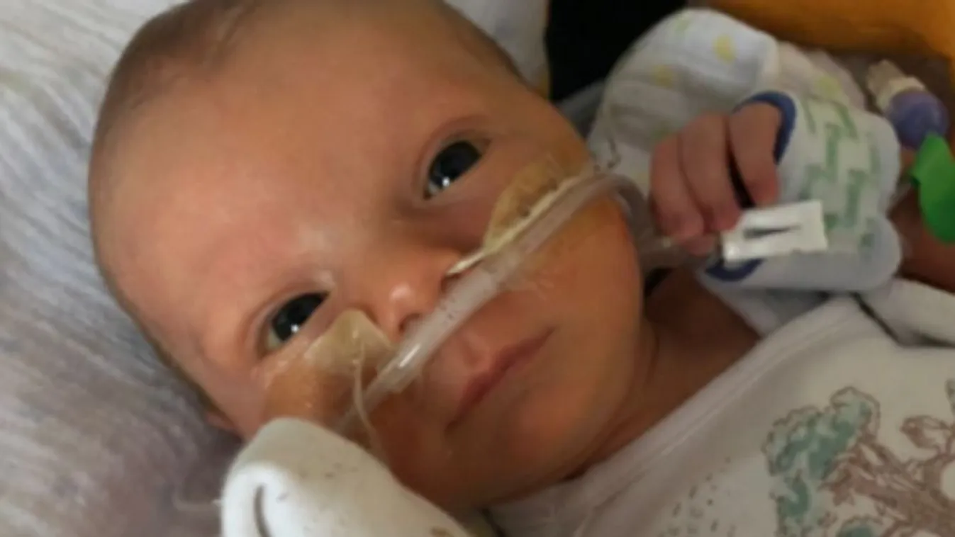 Két héttel a születése után vesztette életét egy újszülött