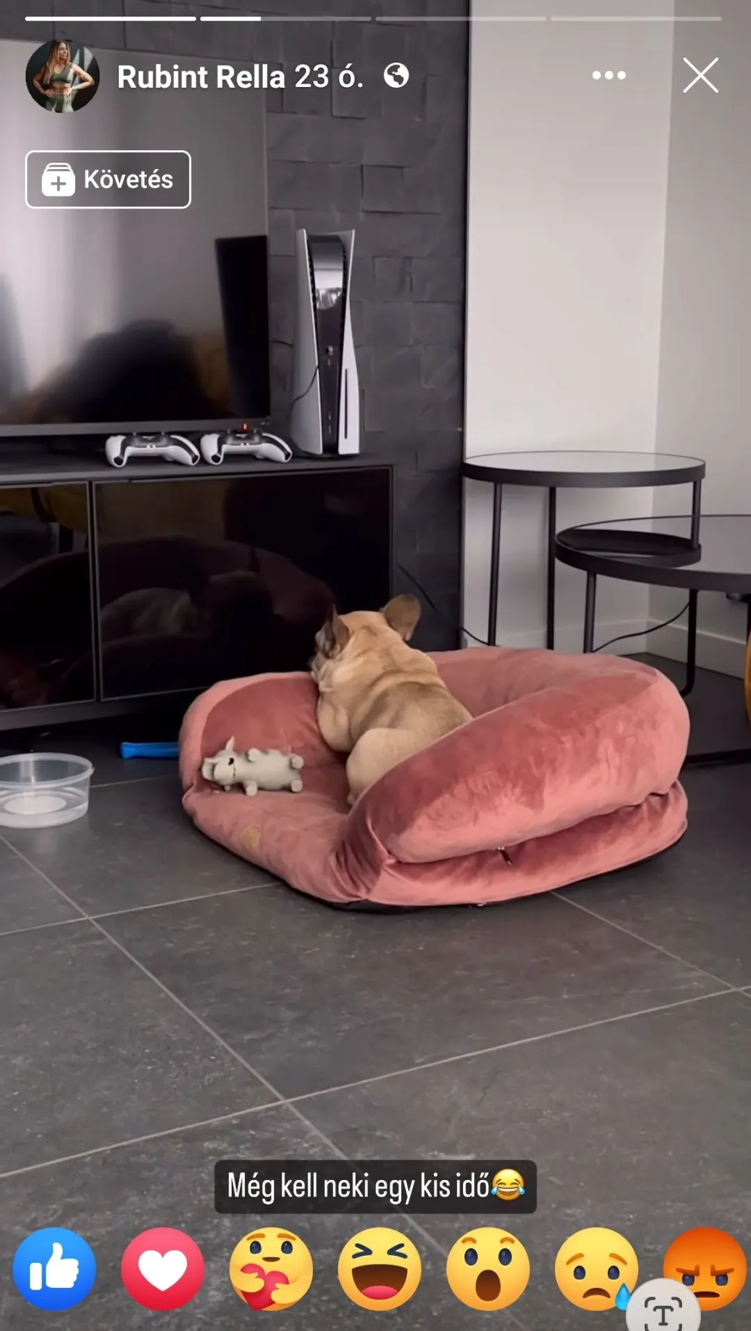 Rubint Rella kutyája