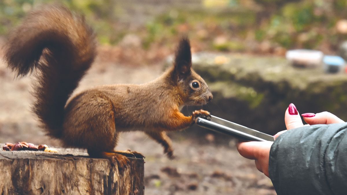 Mókusokkal suttogónak tartják Esztert