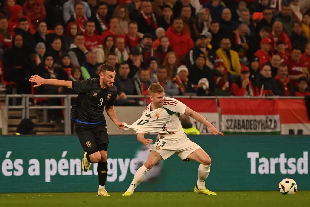 Magyarország-Koszovó, Schäfer András 