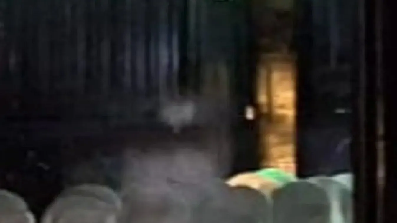 Szellem jelent meg a népszerű kastélyban – Fotó