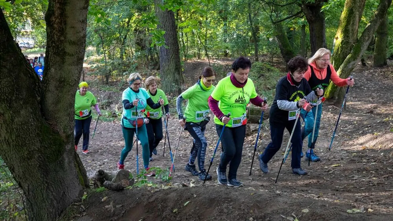 A kormány fontosnak tartja az idősek jólétét