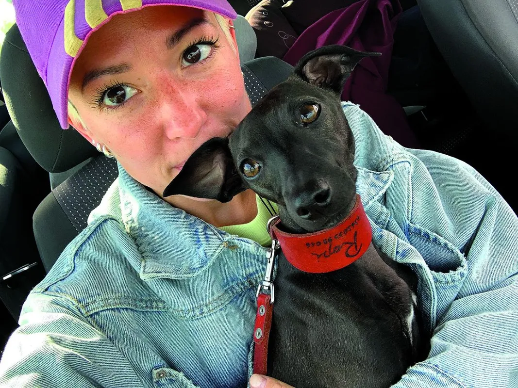 HOT FELTÖLTÉS Bárdosi Sándor és az állatai: 2 kutya, egy macska és egy gekkó RIPOST