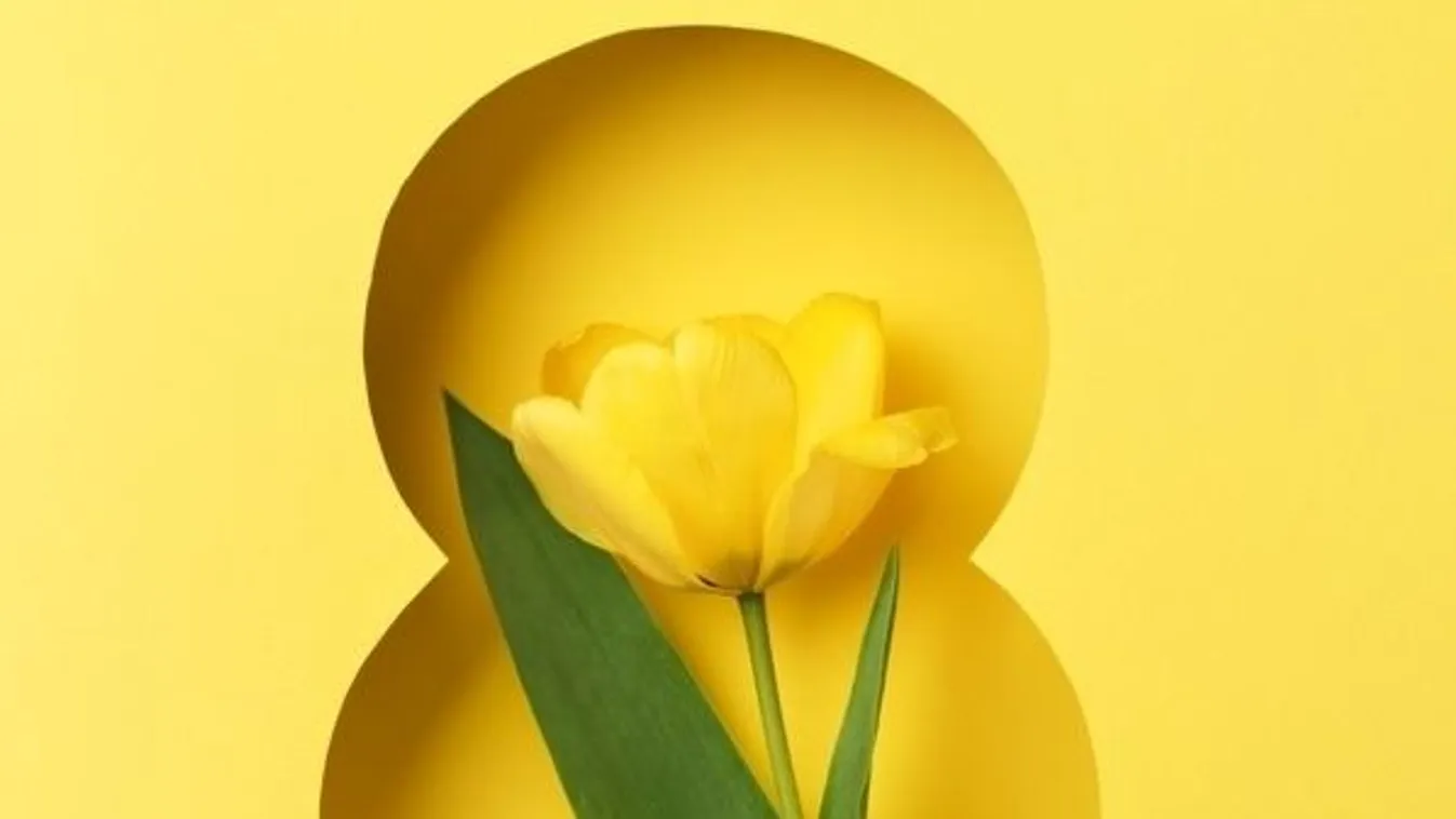 Miért pont március 8-án van nőnap?