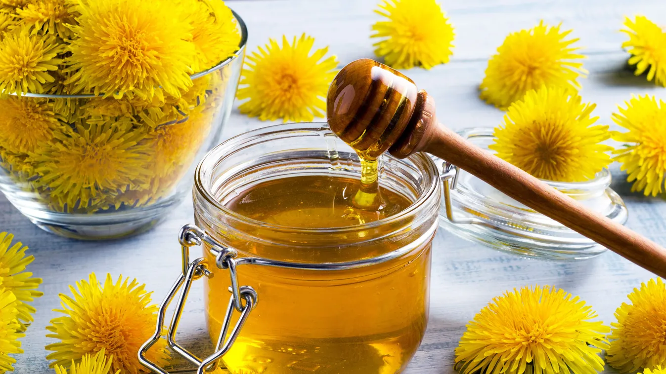 Csodálatos gyógyereje van a pitypangnak, mutatjuk, hogyan készítsd el