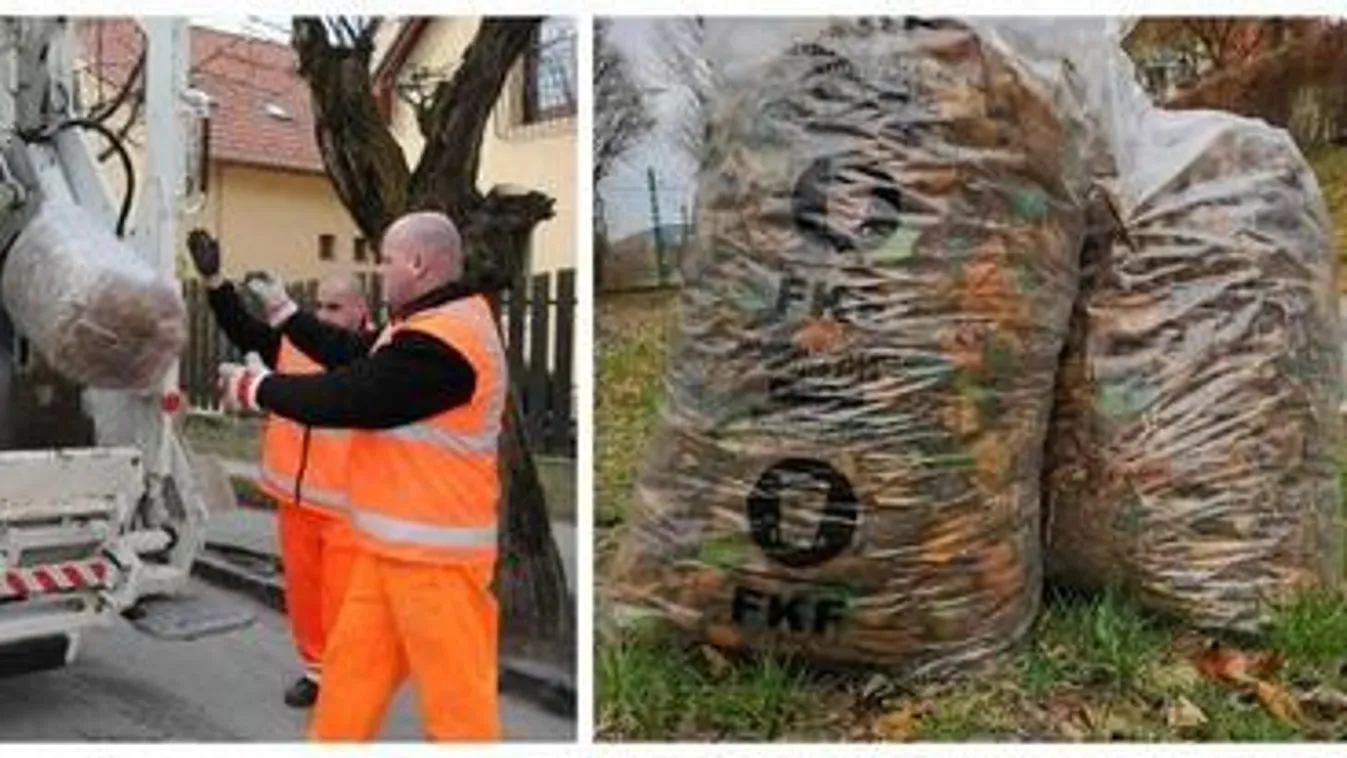 Ezek a kerti zöldhulladék elszállításának szabályai