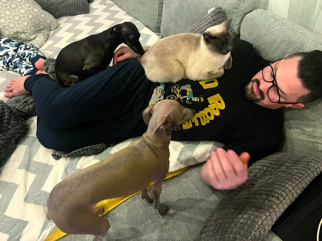 HOT FELTÖLTÉS Bárdosi Sándor és az állatai: 2 kutya, egy macska és egy gekkó RIPOST