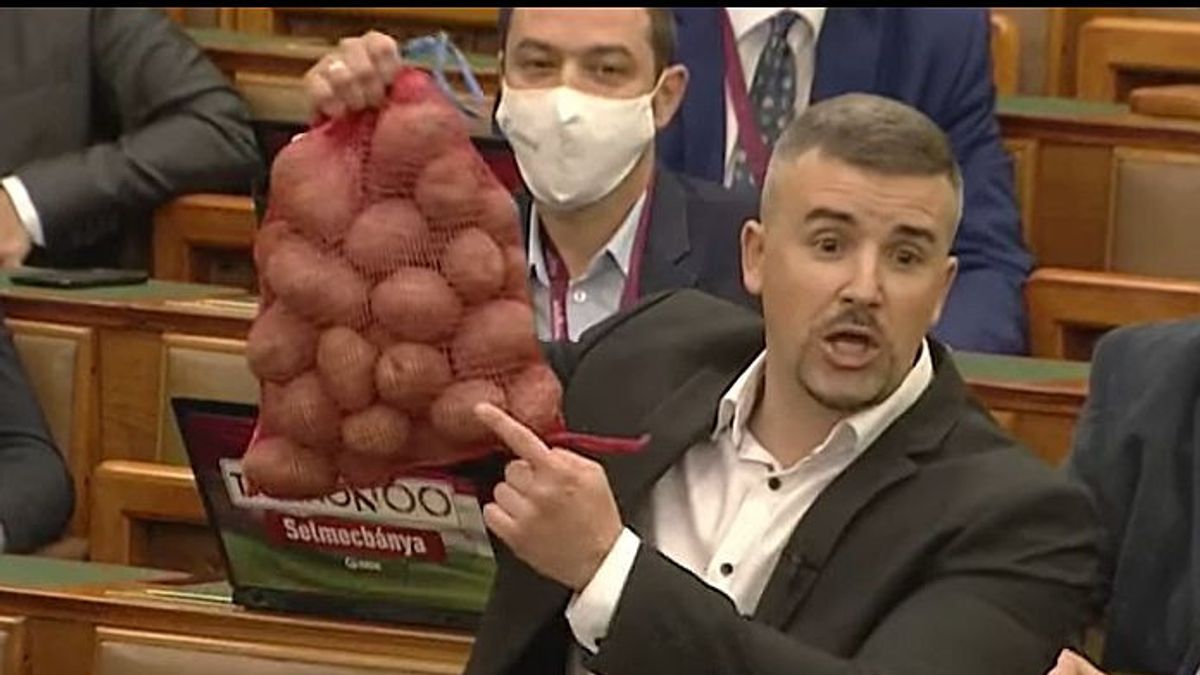 "' Krumplis" Jakab Péter javaslatát vette elő "Talpra" Magyar Péter