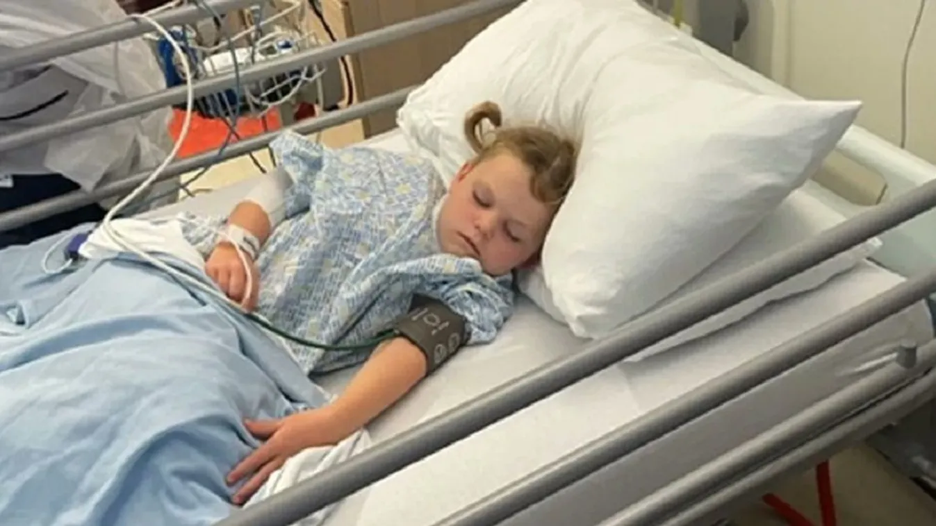 Brutális támadás: 6 éves kislányt marcangoltak a kutyák