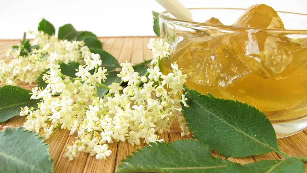 Elderflower,Jam