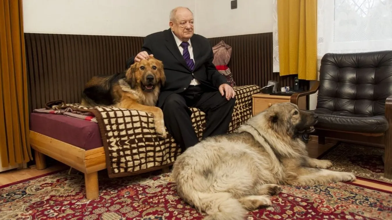 Nem hiszed el, miből él most Klapka György lánya