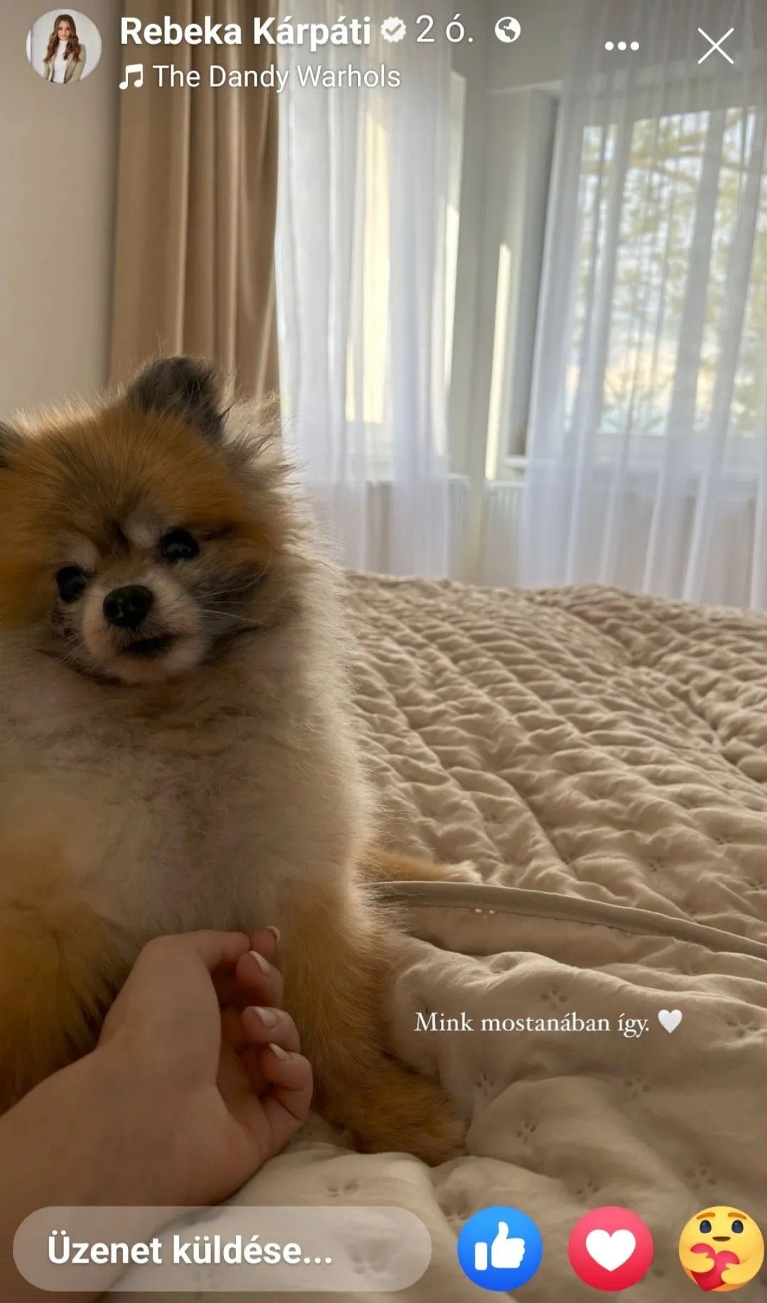 Kárpáti Rebeka kutyája