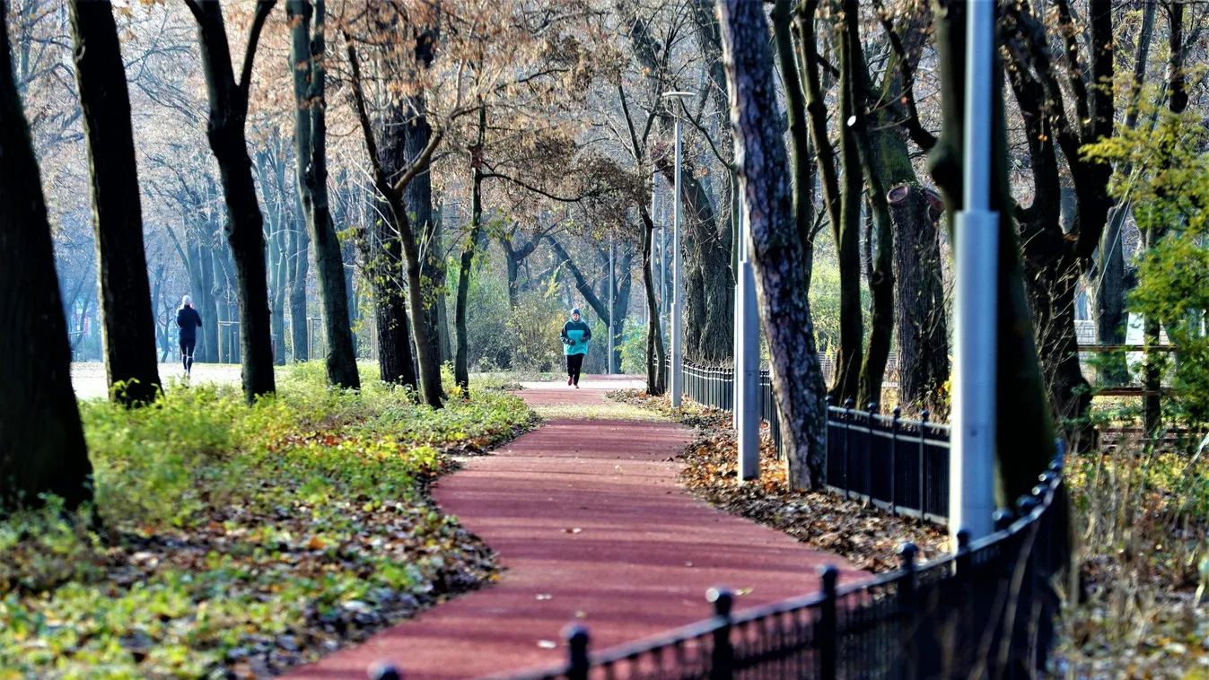 Az olimpikonok is imádják a Városligeti Sportcentrumot