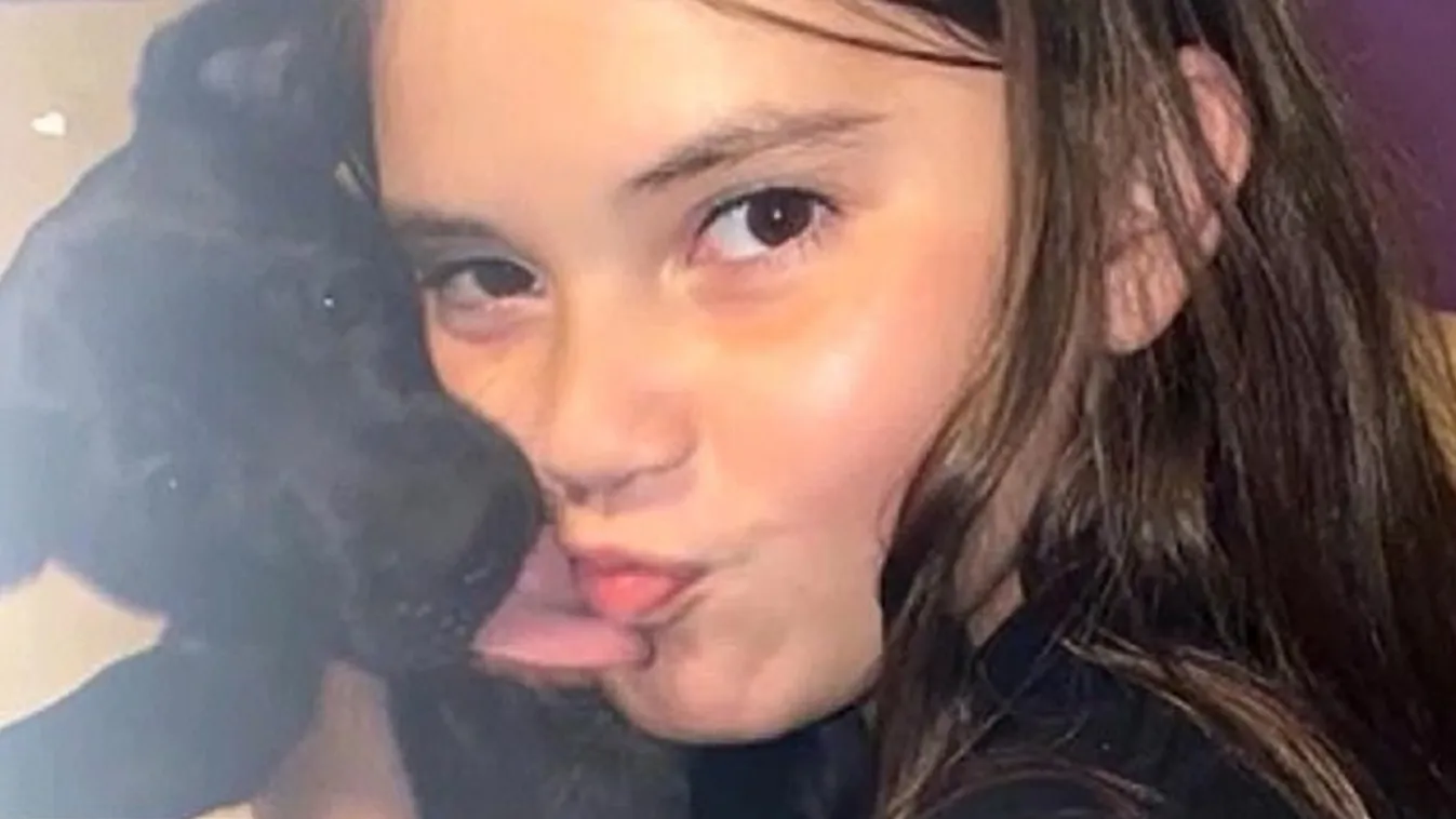 Meghalt a kislány, aki berohant a kutyájáért az égő házba