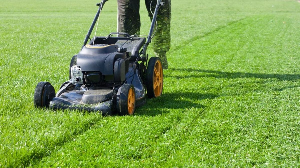 14 tipp, hogy ősszel is gyönyörű legyen a kertedben a fű