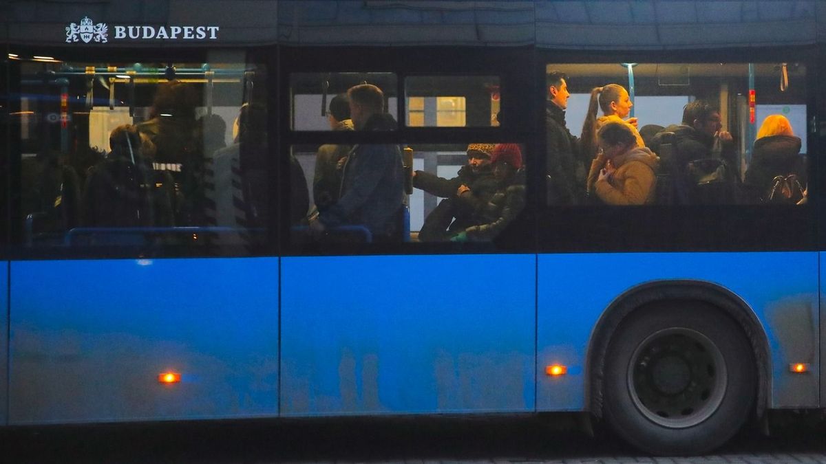 Ilyet tuti ritkán látsz: Kedvenc tyúkjával buszozott egy idős férfi Budapesten – Fotó