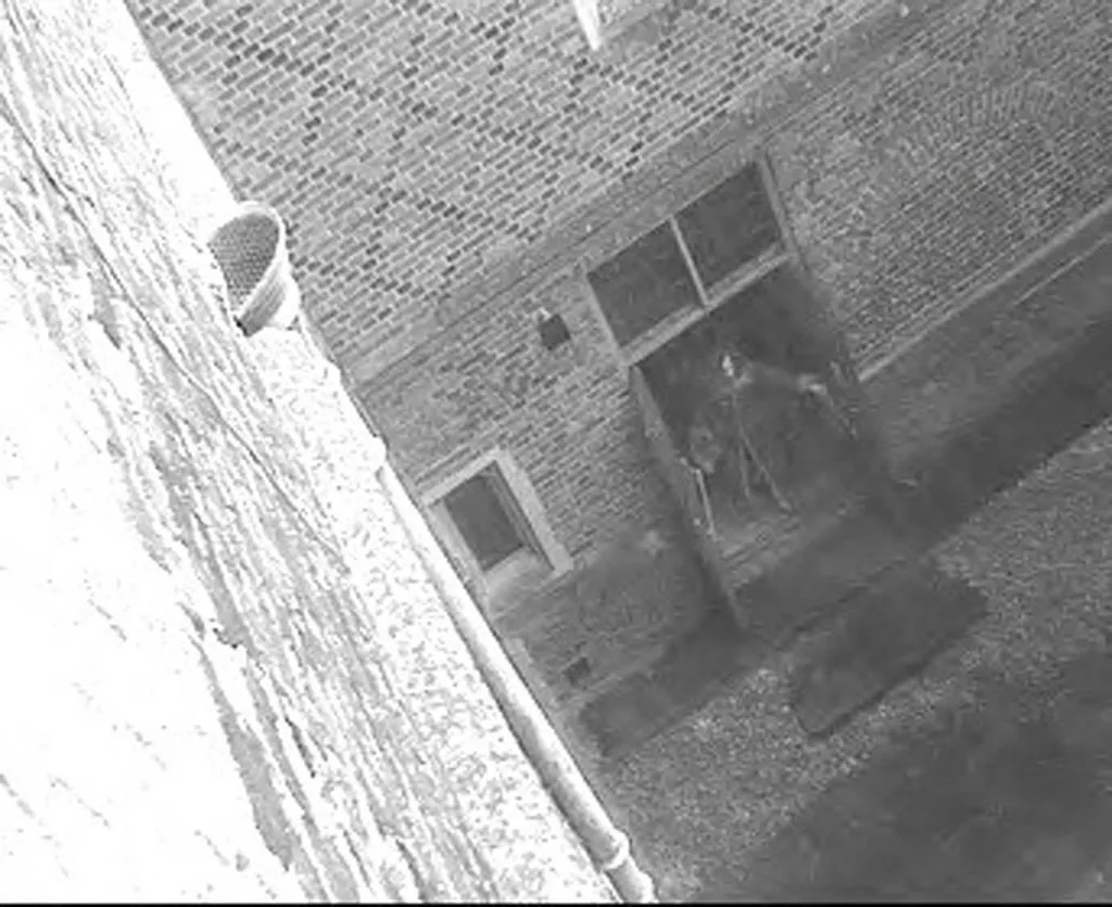 BRITAIN-HAMPTON COURT-GHOST