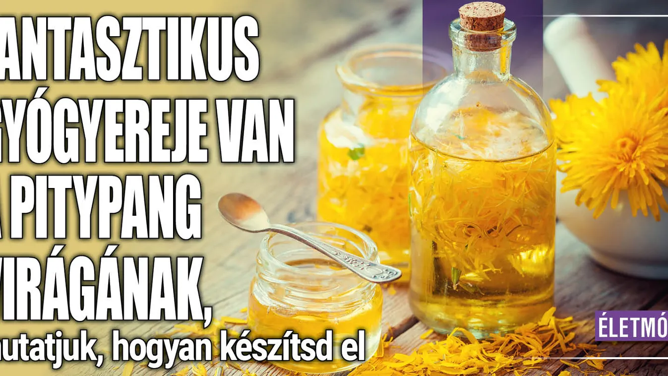 Fantasztikus gyógyereje van a pitypang virágának