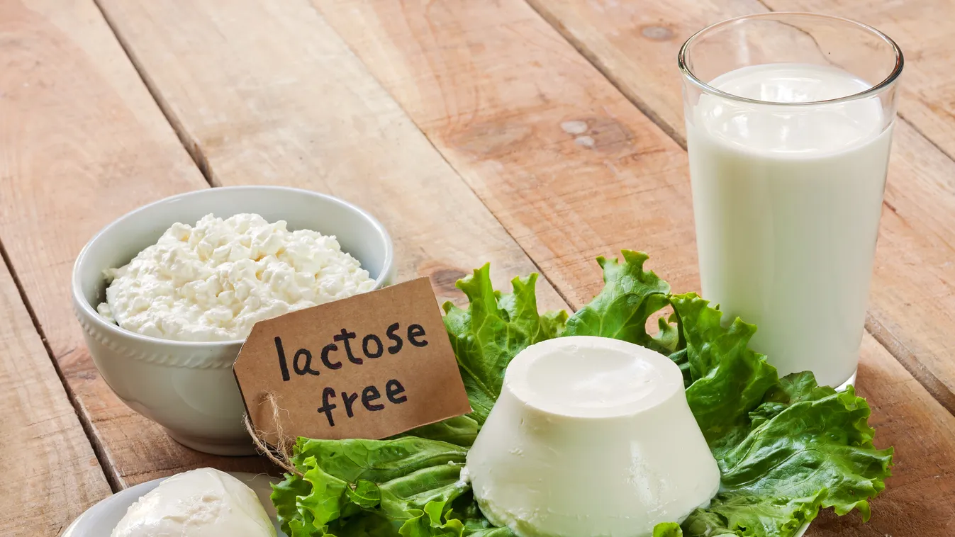 Hol a legolcsóbbak a laktóz- és gluténmentes termékek?