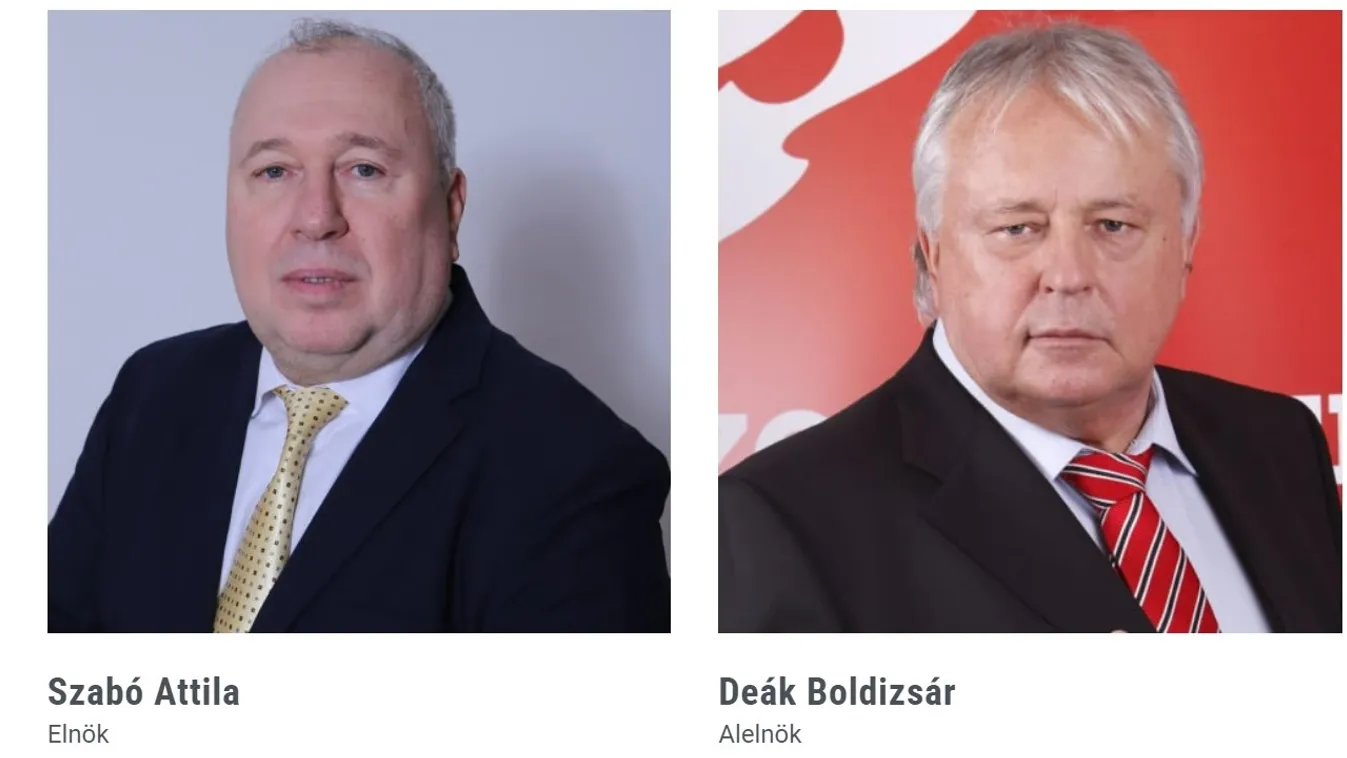 Ügynök és besúgó volt Magyar Péter pártjának alelnöke