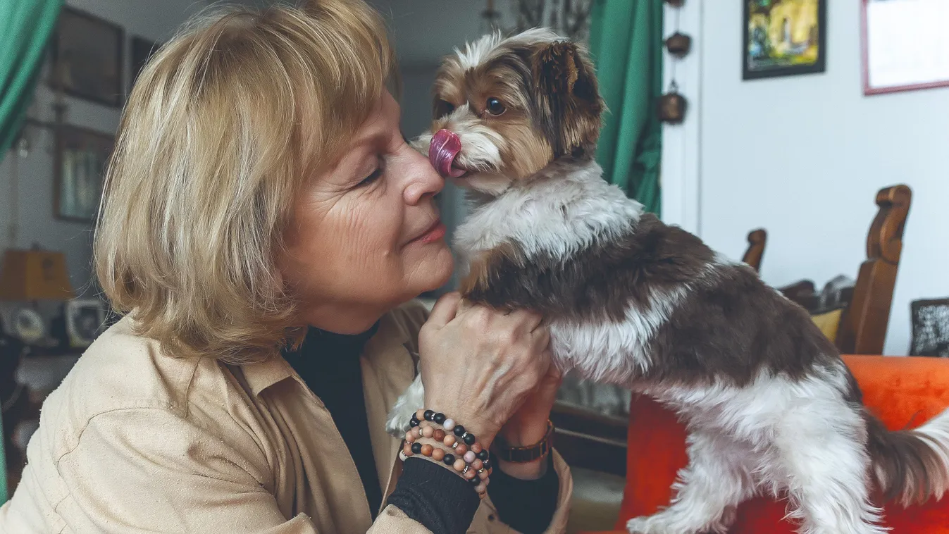 A kutyája választotta ki Rátonyi Hajnit