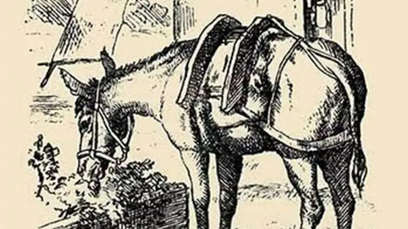 Teszt, ha megfejted az emberek 1 százalékába tartozol