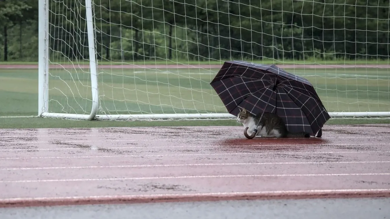 Kiadták a riasztást, ezt a brutális időt nem láttuk jönni