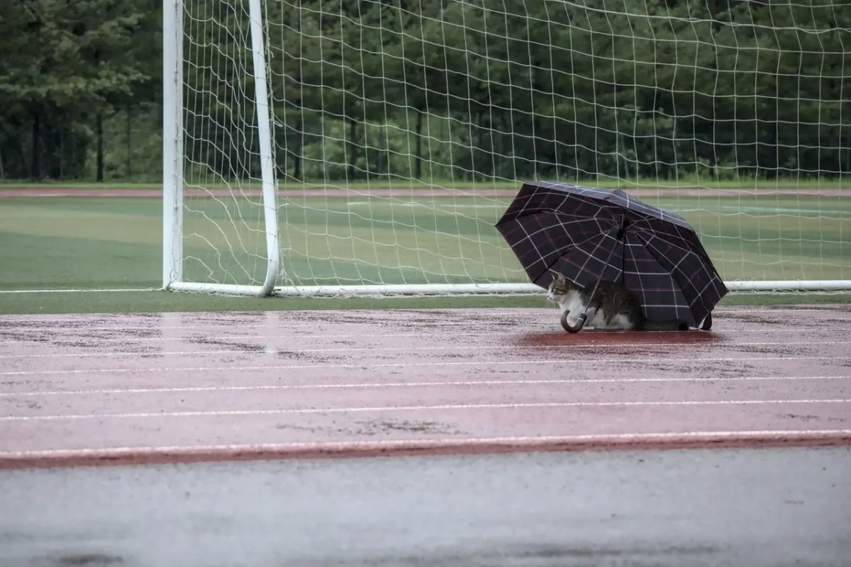 időjárás borús eső