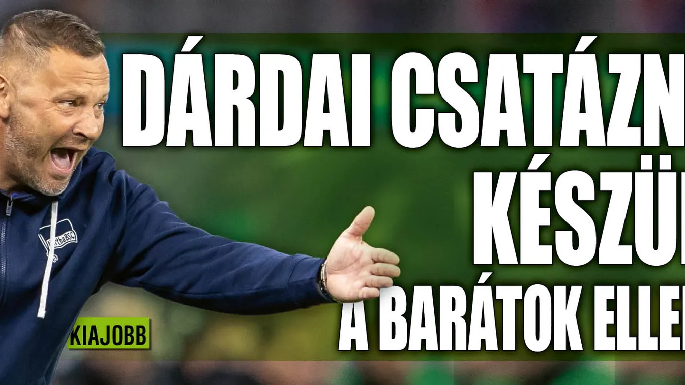 Dárdai nagy harcra készül a barátok ellen