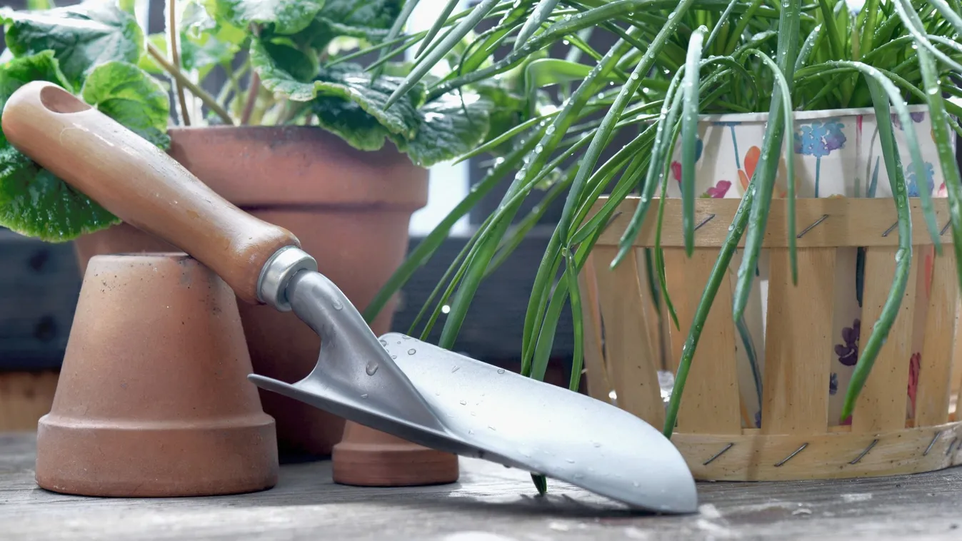 Ez lehet a vége, ha nem tároljuk megfelelően a szerszámokat