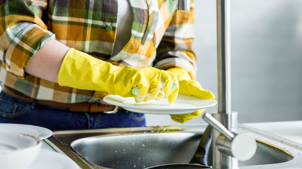 Cropped,Image,Of,Woman,Washing,Plate,In,Kitchen