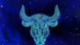 Ha ezt a hét dolgot megteszed a Bika havában, megváltozik az életed