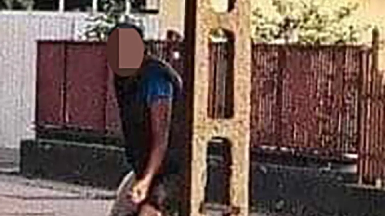 Tinit akart megerőszakolni a dorogi rém