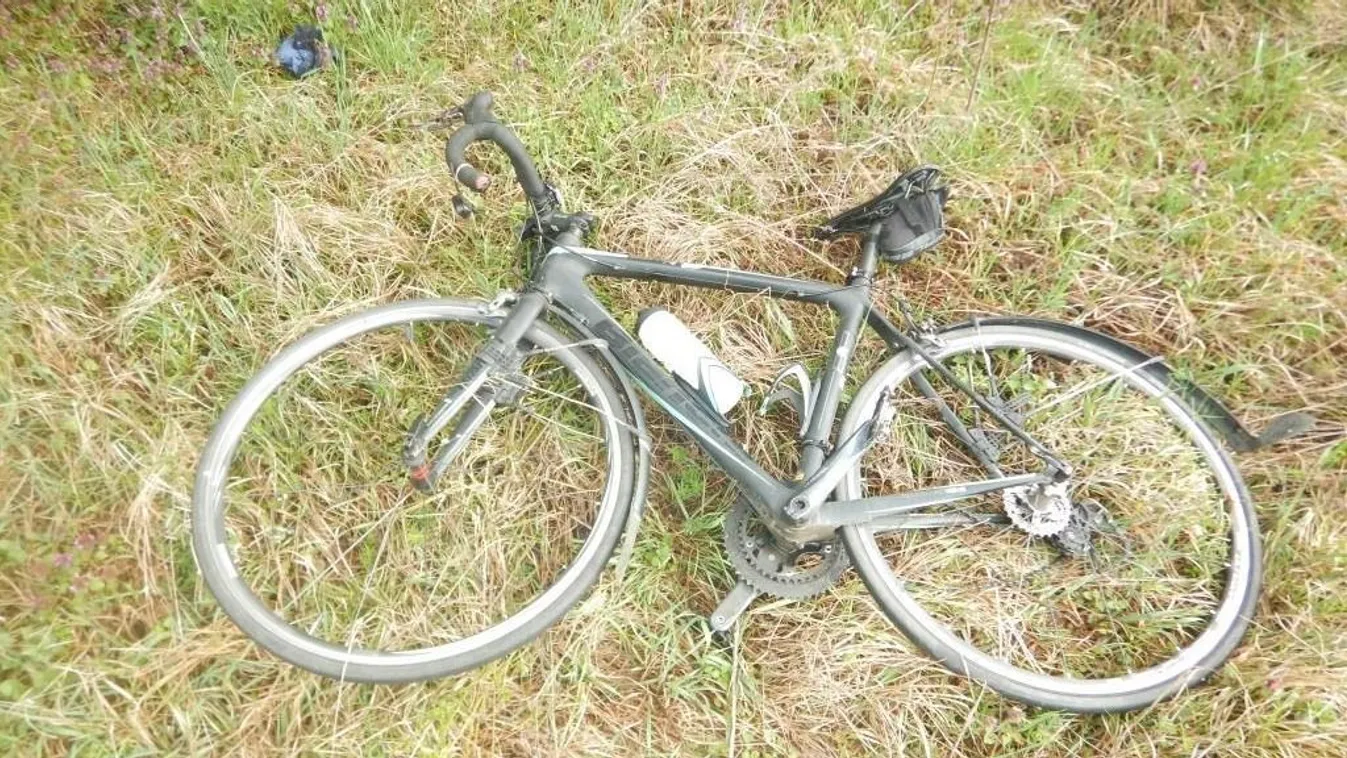 Egy évvel ezelőtt gázolták el és hagyták magára Erikát