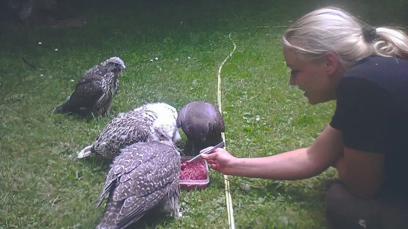 80 ragadozóval él együtt Alexandra