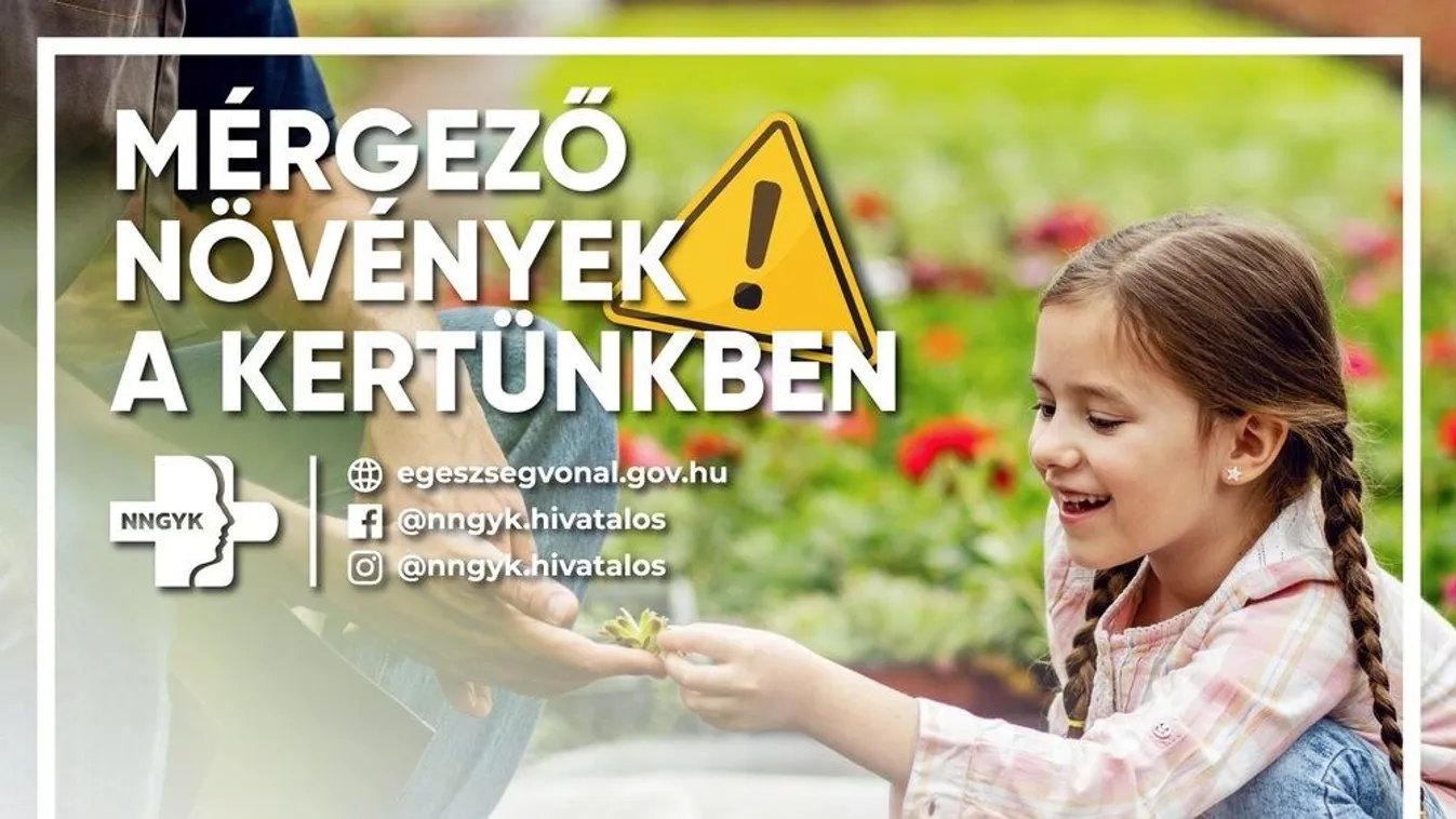 Mérgező növények a kertben: ezeket kerüljék a gyerekek