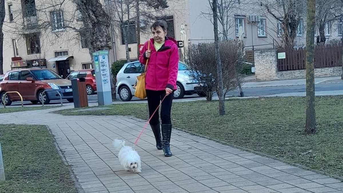 Születésnapja előtt tűnt el: 1 hete keresi aggódva lánya a depressziótól szenvedő Gizellát