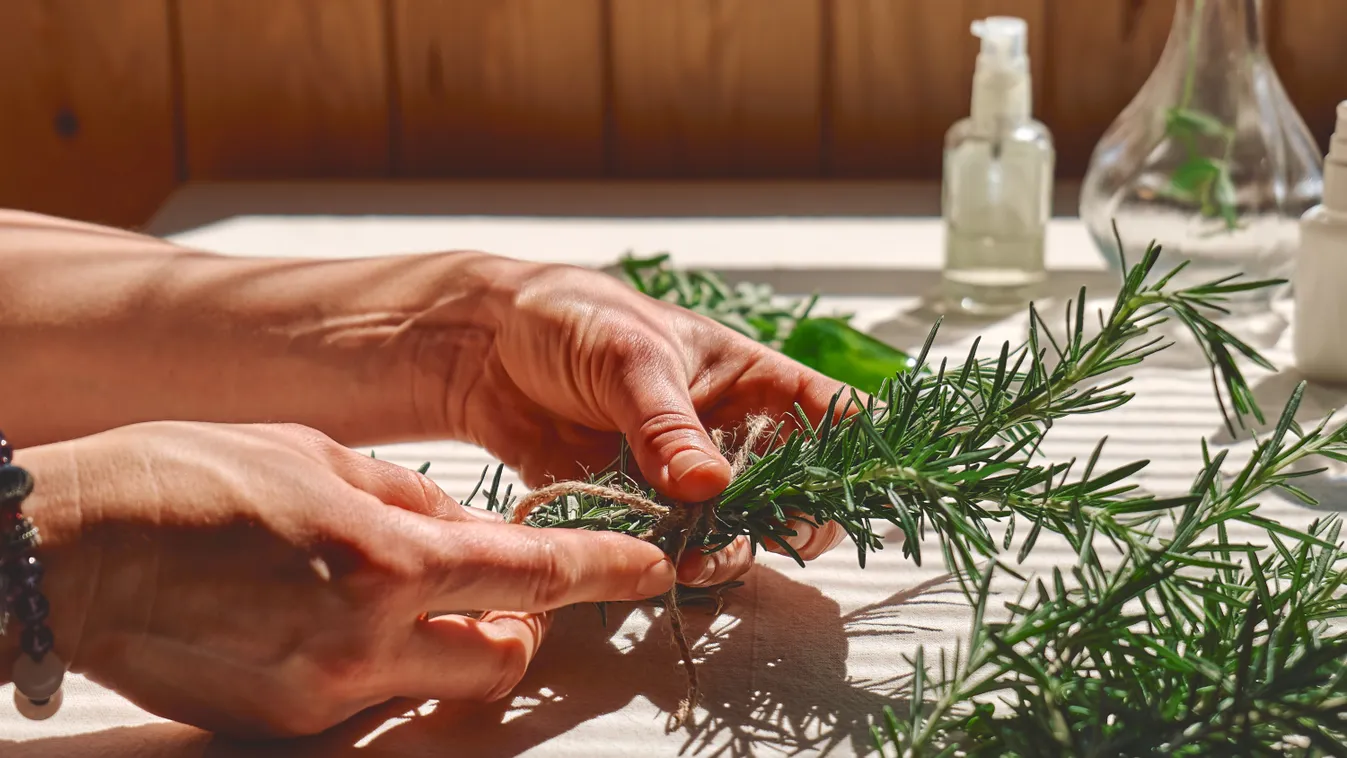 Tedd fazékba a rozmaringot, és nem bánod meg