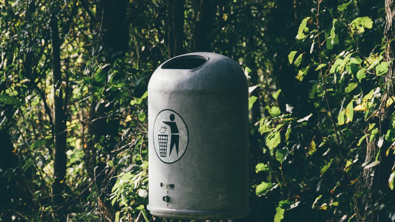 Pénzzel teli táskát találtak egy kukában