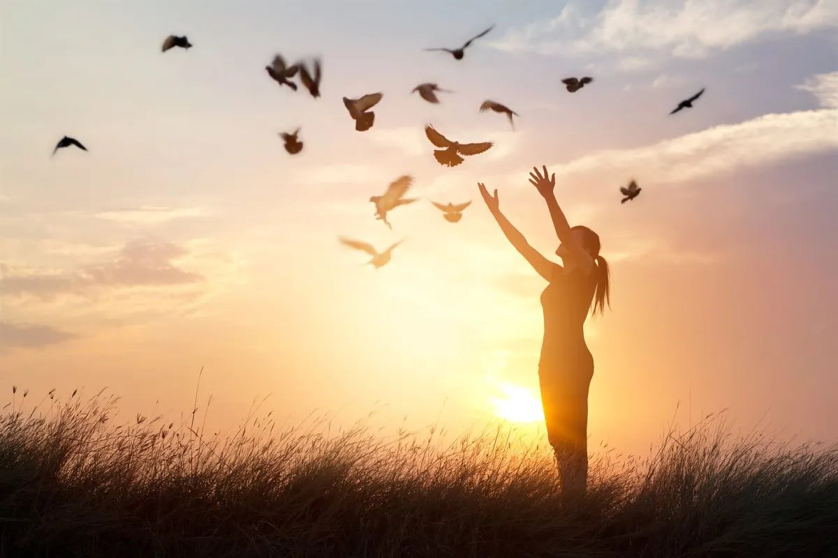 Woman,Praying,And,Free,Bird,Enjoying,Nature,On,Sunset,Background,