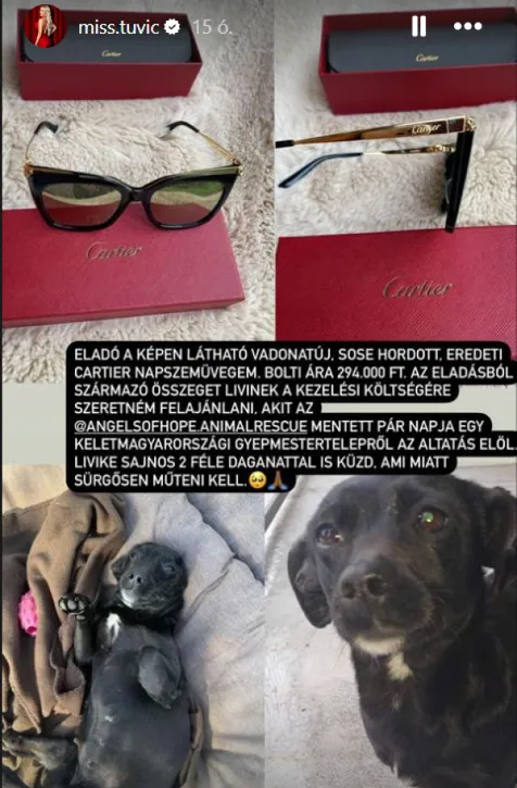 Tuvic Aleksandra luxus szemüveggel gyűjt