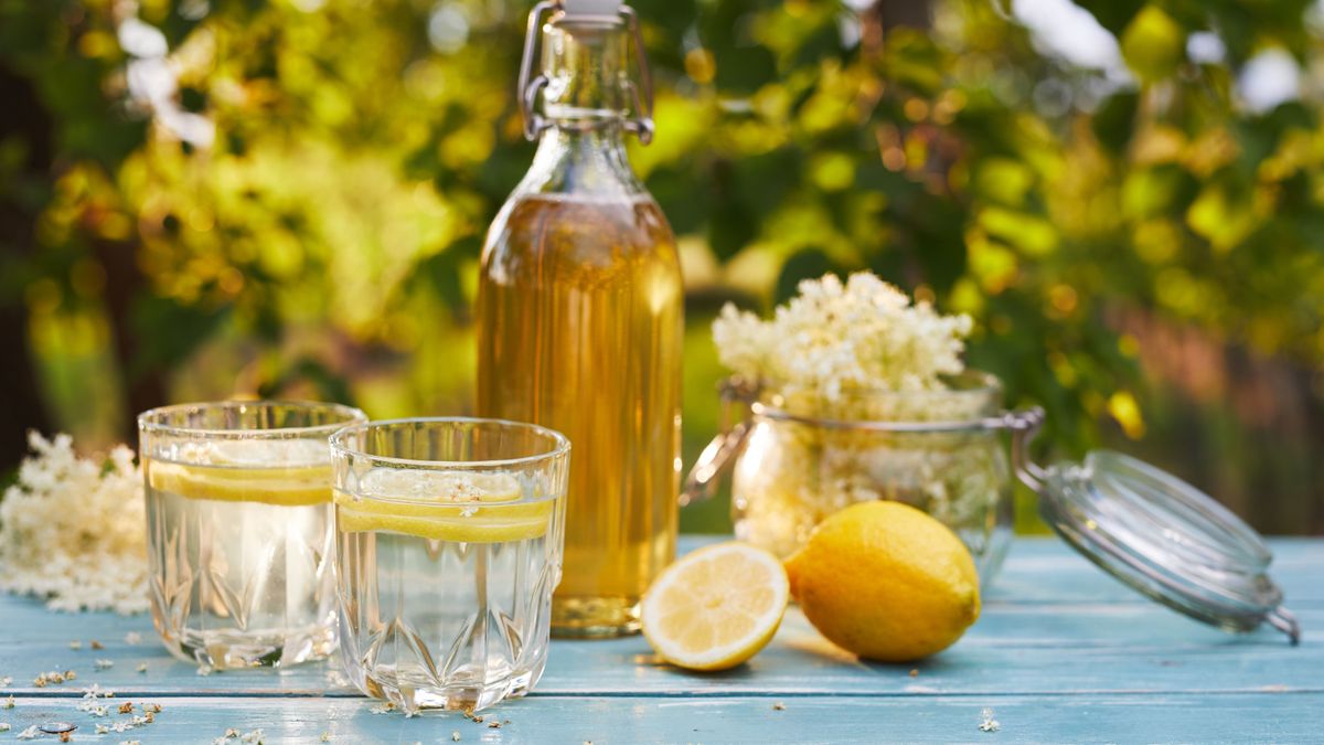 Elderflower,Lemonade,With,Bottle,Of,Syrup,And,Elderberry,Flowers,On