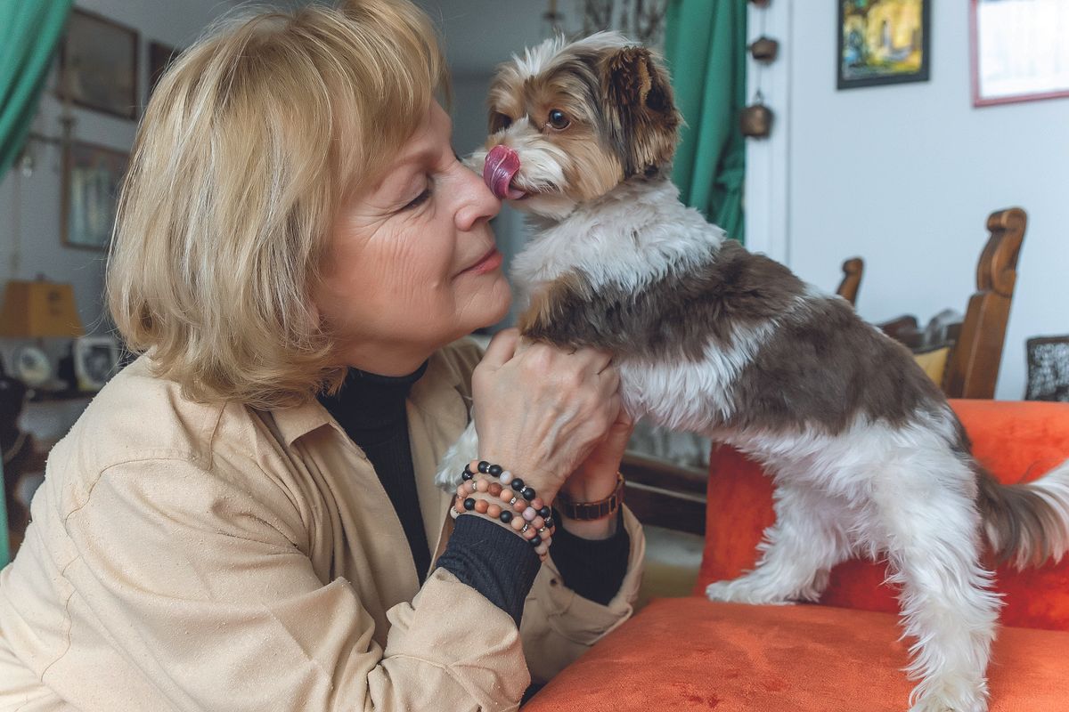 Rátonyi Hajni színésznő és a kutyája, Manyika RIPOST