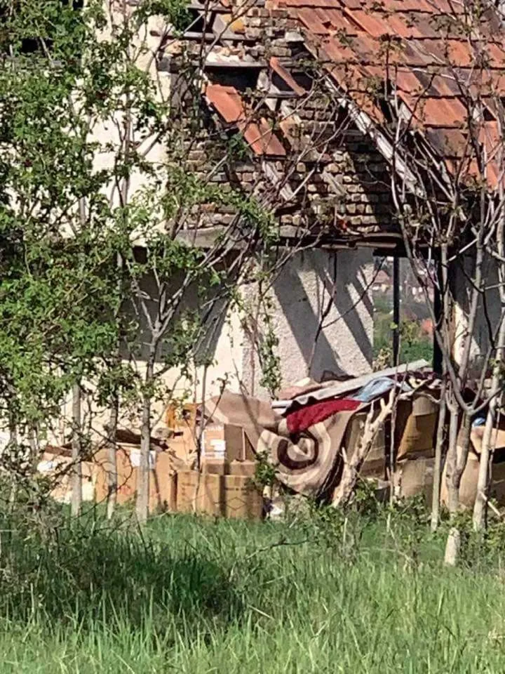 Romok között él a dorogi rém /