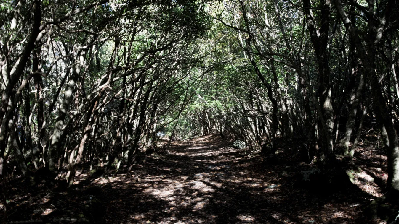 Íme 5+1 félelmetes hely, ha ijesztő élményre vágysz!