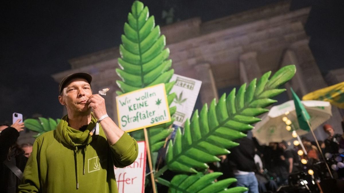 Legalizálták a kannabiszt a németek, halálos beteg férfit csaltak ki Afrikába, a világ legjobbjai között a Rákóczi-túrós